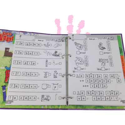 Le livre du maître et son fichier d’activités Les Alphas | Guide pédagogique complet GS et CP