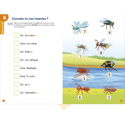 Mon cahier d’activités des sons complexes Les Alphas – 35 activités ludiques + 100 gommettes | Lecture dès 6 ans