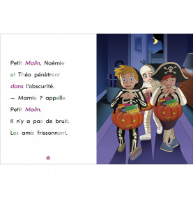 Page intérieure avec texte d'un côté et illustration de l'autre, Petit Malin et ses amis sont plongés dans le noir