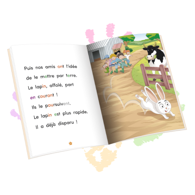 Qui a vu le lapin ? | Lecture CP niveau 2 avec Les Alphas – Milieu CP